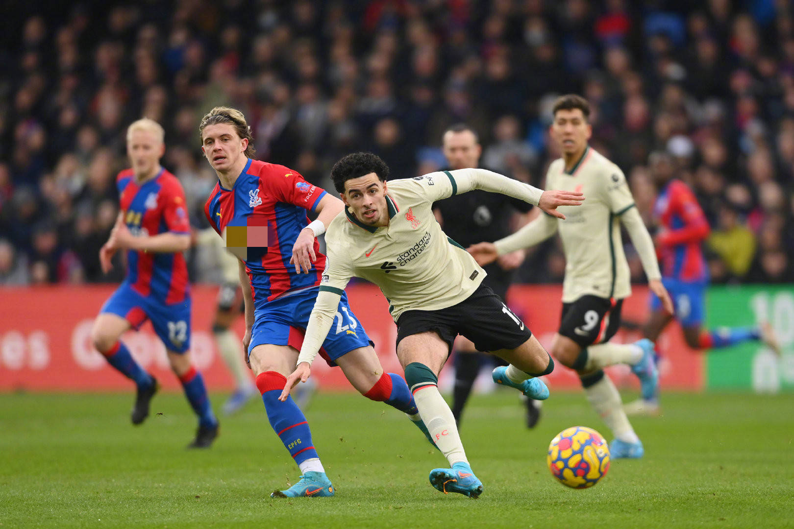 他无疑是最 他无疑是最